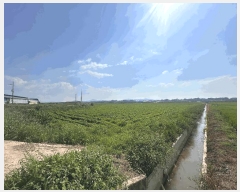  2025Ÿ��296  ����