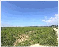  2025Ÿ��296  ����