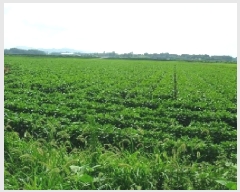  2025Ÿ��296  ����