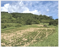  2025Ÿ��313 ���� ��â�� ���۸� �ϰ��� 201      ����(��1)���