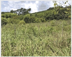  2025Ÿ��313 ���� ��â�� ���۸� �ϰ��� 201      ����(��1)���