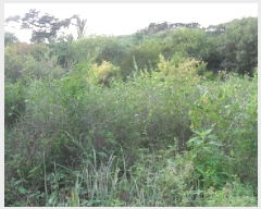  2025Ÿ��313 ���� ��â�� ���۸� �ϰ��� 201      ����(��1)���