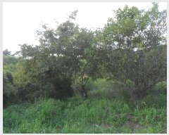  2025Ÿ��313 ���� ��â�� ���۸� �ϰ��� 201      ����(��1)���