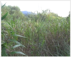  2025Ÿ��313 ���� ��â�� ���۸� �ϰ��� 201      ����(��1)���