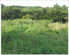  2025Ÿ��313 ���� ��â�� ���۸� �ϰ��� 201      ����(��1)���