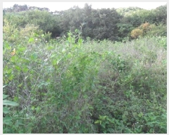  2025Ÿ��313 ���� ��â�� ���۸� �ϰ��� 201      ����(��1)���