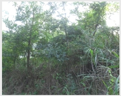  2025Ÿ��313 ���� ��â�� ���۸� �ϰ��� 201      ����(��1)���