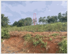  2025Ÿ��318  �����