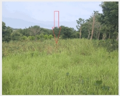  2025Ÿ��318  �����