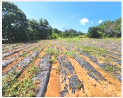  2025Ÿ��318  �����