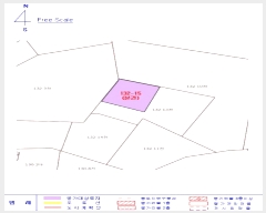  2025Ÿ��318  �����