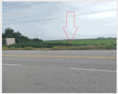  2025Ÿ��324  ����