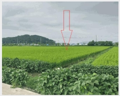  2025Ÿ��324  ����