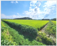  2025Ÿ��324  ����