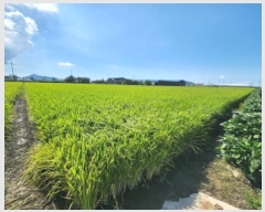  2025Ÿ��324  ����