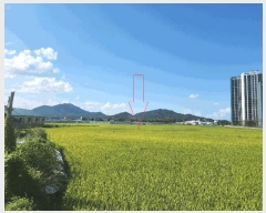  2025Ÿ��327 ���� ������ ��ҵ� 49-166       ����(��)���