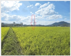  2025Ÿ��327 ���� ������ ��ҵ� 49-166       ����(��)���