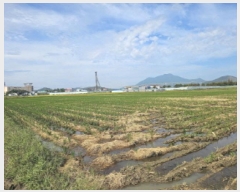  2025Ÿ��327 ���� ������ ��ҵ� 49-166       ����(��)���