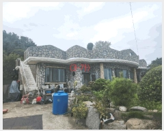  2025Ÿ��335  ���ð��