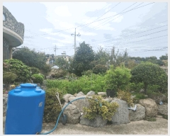  2025Ÿ��335  ���ð��