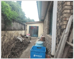  2025Ÿ��335  ���ð��