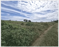  2025Ÿ��340 ���� ��â�� ������ ������ 6      ����(��)���