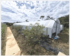  2025Ÿ��340 ���� ��â�� ������ ������ 6      ����(��)���