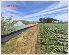  2025Ÿ��340 ���� ��â�� ������ ������ 6      ����(��)���