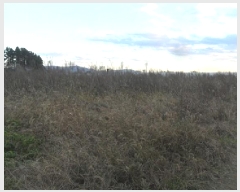  2025Ÿ��340 ���� ��â�� ������ ������ 6      ����(��)���