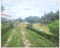  2025Ÿ��345  �������