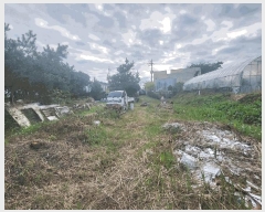  2025Ÿ��345  �������