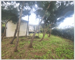  2025Ÿ��345  �������