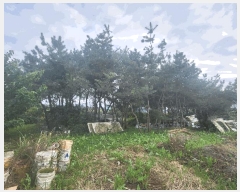  2025Ÿ��345  �������