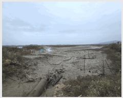  2025Ÿ��349 ���� �ξȱ� ���ȸ� �ź��� 403      ����(��)���