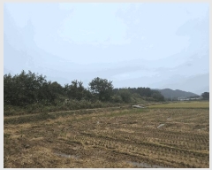  2025Ÿ��349  �Ӿ߰��