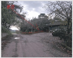  2025Ÿ��355  �����