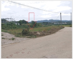  2025Ÿ��355  �����