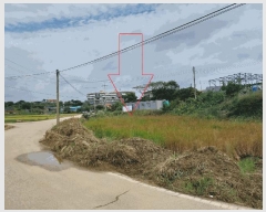  2025Ÿ��355  �����