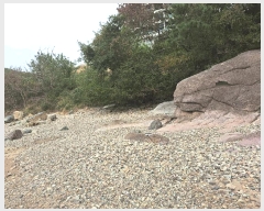  2025Ÿ��361 ���� �ξȱ� ����� ������ 651-59      ����(��1)���