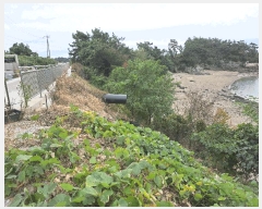  2025Ÿ��361 ���� �ξȱ� ����� ������ 651-59      ����(��1)���