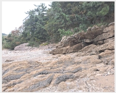  2025Ÿ��361 ���� �ξȱ� ����� ������ 651-59      ����(��1)���