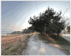  2025Ÿ��362  �Ӿ߰��