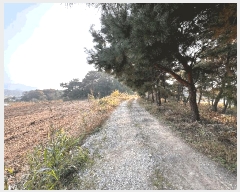  2025Ÿ��362  �Ӿ߰��