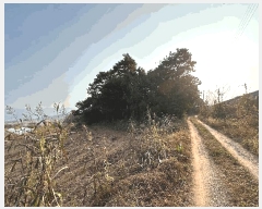  2025Ÿ��362  �Ӿ߰��