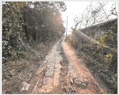  2025Ÿ��362  �Ӿ߰��