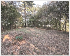  2025Ÿ��362  �Ӿ߰��