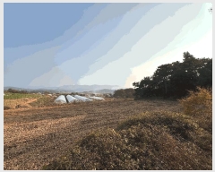  2025Ÿ��362  �Ӿ߰��