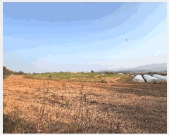  2025Ÿ��362  �Ӿ߰��