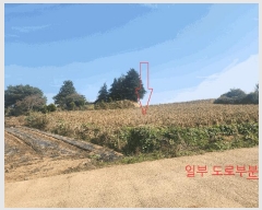  2025Ÿ��368 ���� �ξȱ� ������ �Ļ긮 820-3      ����(��)���