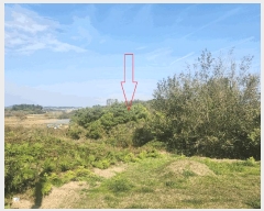  2025Ÿ��368 ���� �ξȱ� ������ ������ 653      ���ð��